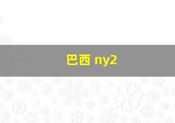 巴西 ny2